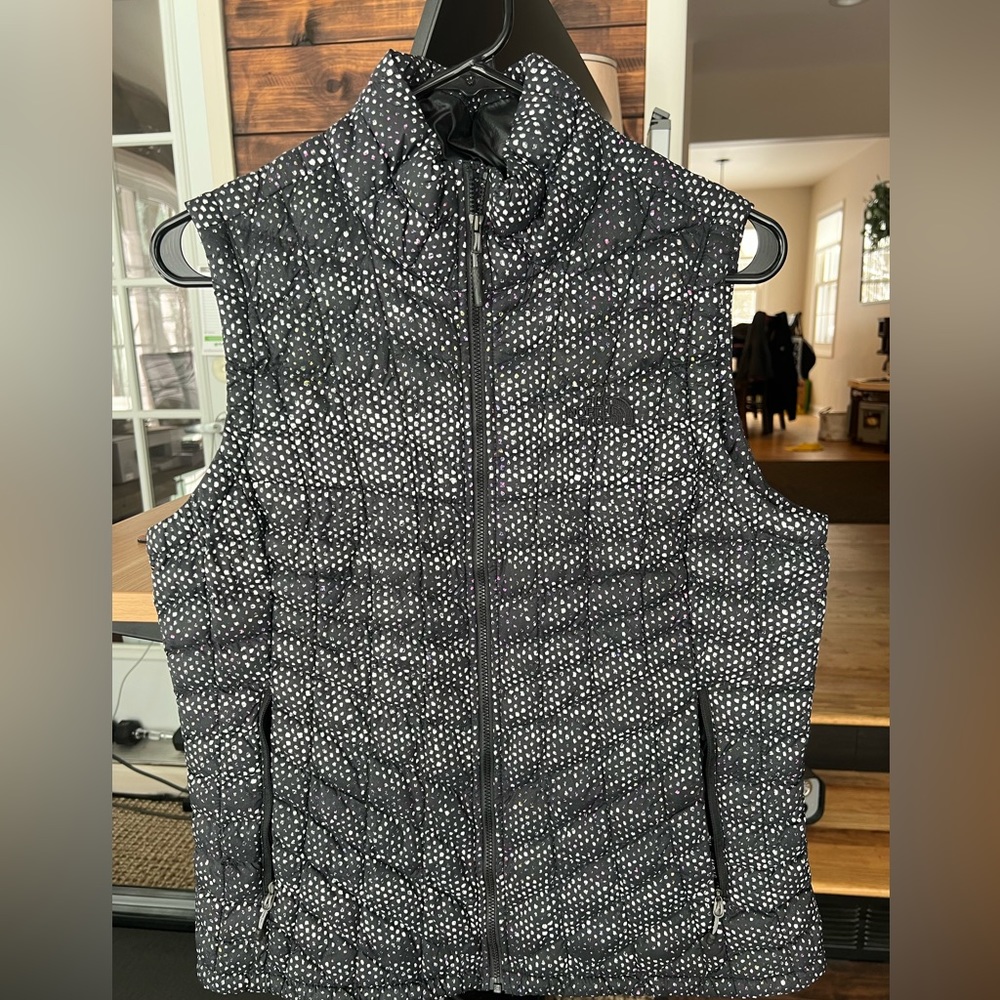Northface vest